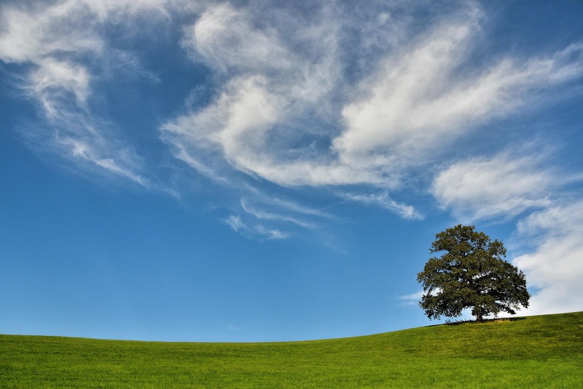 green space
