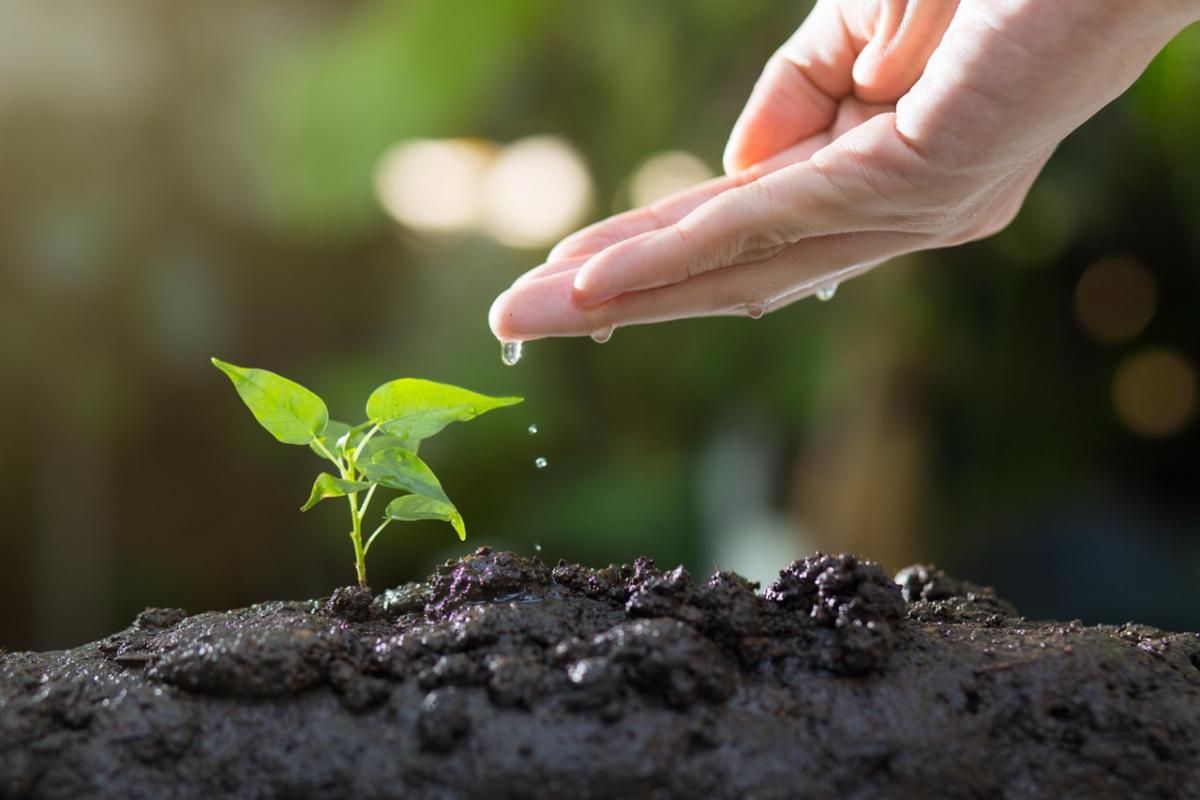 Preventing soil erosion
